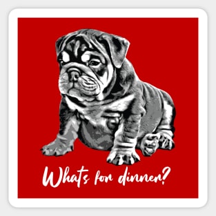 Bulldog Puppy "What's For Dinner?" Sticker